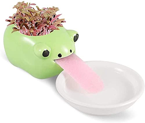 Pot de fleurs avec animal mignon Peropon de SmartLife qui boit avec la langue pot de fleurs en céramique d'arrosage automatique créatures en céramique Grenouille