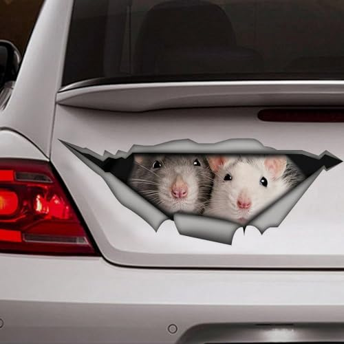 Madcolitote Ratten-Autoaufkleber, lustig, 3D-Fensteraufkleber, Stoßstange, gestanzt, Vinyl-Aufkleber, lustiges Laptop-Aufkleber, Haustiergeschenk, 35,6 cm (14 Zoll)