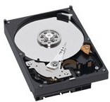 HD CE/500GB SATA II 7200rpm 8MB Bulk
