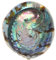 PRETYZOOM Abalone-Muschel Kleine Muscheln Weißes Weiße Verzierung Austernschalen Für Das Handwerk Muscheln Masse Große Muscheln Aschenbecher Nautilus-Schale Masse Ornamente Hülse