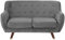 Modernes 2er Retro-Sofa aus Samtstoff in Grau Bodo