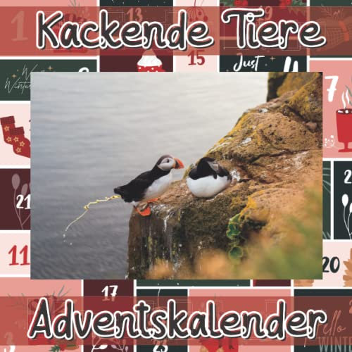 Kackende Tiere Adventskalender: Amüsantes Tierfoto - Tiere Furzen und Kacken - Lustige Motiven - lustiges Malbuch