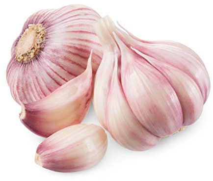 Hymor Violetter Knoblauch aus Las Pedroñeras Spanien - 32 Knollen - Lila Knoblauch Violet Garlic Ajo Morado Naturprodukt wertvolle Nährstoffe mediterran Kastilien-La Mancha