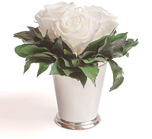 ROSEMARIE SCHULZ Heidelberg Infinity Blumen in silberfarbenen Becher 3 ewige Rose konserviert weiße Blumendeko Tisch (Weiss, 3 Rosen)