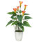 Gefälschte Blumen Pflanzen Orange Artificial Calla-Lilien-Blumen Künstliche Topfpflanze Im Freien Garten-Hang Innen Zuhause Küche Büro Tischdekoration Vase Korb Topf Herbstdekorationen ( Color : D )
