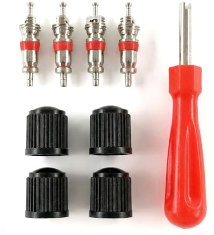 Outil de Démontage de Valve de Pneu, Demonte Obus Valve, Valve Pneu Voiture, Valve Core, Demonte Obus, Extracteur Noyau Valve à Double Tête pour Camions Vélos Motos Entretien Auto