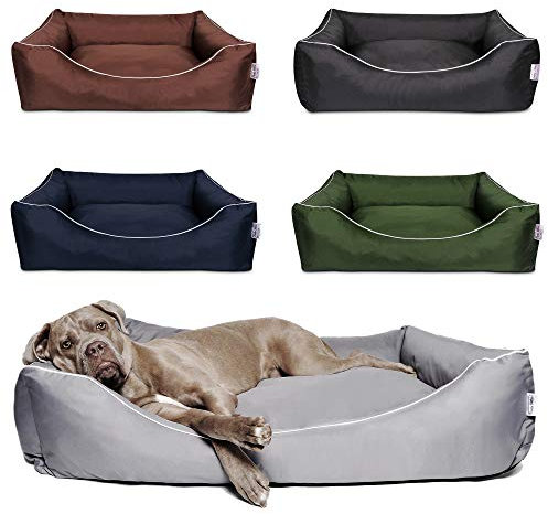 Tante Hilde Hundebett Norderney XL (80x60x20) Grau – Waschbar, Robust und Gemütliches Hundebett & Hundekorb in Verschiedenen Größen – Ideal für kleinere Hunde z.B. Jack Russel, Beagle und Cocker