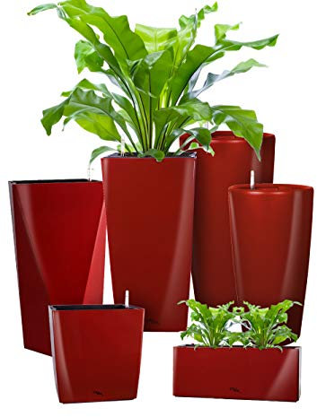 Pflanzwerk® ÖKOSYSTEM Pflanzkübel Cube - Blumentöpfe Übertöpfe mit BEWÄSSERUNGSSYSTEM - 13x15x15cm Shiny ROT *Indoor & Outdoor Blumenkübel* *UV-Schutz* *Premium Markenqualität*