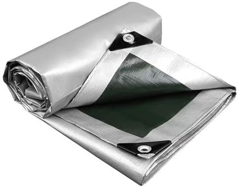 Plane 0,32 mm PE-Plane, Regentuch, Outdoor, Garten, Pflanzenschuppen, Boot, Auto, LKW, Markise, wasserdicht, Sonnensegel, Haustier, Hund, Dachabdeckung, 2 x 2 m, 3 x 5 m (Color : Army Green Silve, S