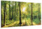B&D XXL - Akustikbild Wald 150x50 cm 1 tlg Bilder Akustikschaum Schallschutz Kunst Akustikpaneele Wandpaneele Schalldämmung Wandbild Schallabsorber Waldlandschaft Natur Panorama c-B-0184-b-a