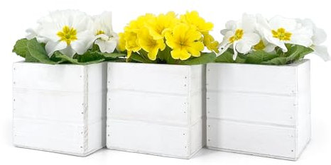 Set 3 Mini Cassette Quadrate 10x10x10 cm | Vasi per Piante Grasse con Interno in Plastica | Fioriere da Interno ed Esterno (Bianco)