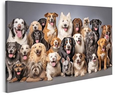 islandburner Prime Bild auf Leinwand große Gruppe Hunde Verschiedene Rassen Haustiere sitzen weiß Bilder Wandbilder Poster