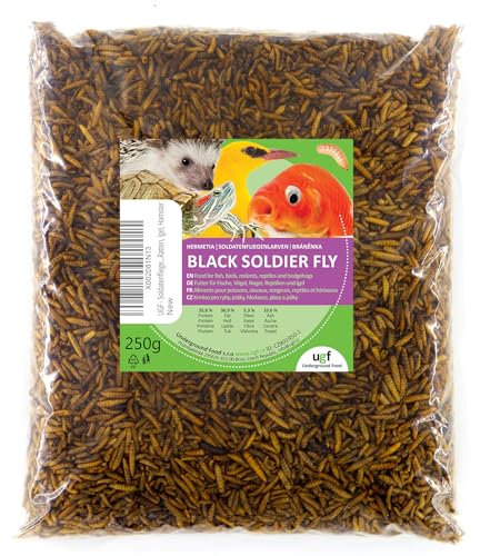 UGF - Larvas de mosca de soldado Hermetia - Mejor que los gusanos secos de la harina (250 g) - 85 veces más calcio que los gusanos de la harina vivos - BSFL golosinas para aves silvestres, tortugas,