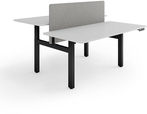 ESMART ETX-221BG 160 x 80 cm Hellgrau Ergonomischer Steh-Sitz-Doppel-Schreibtisch Stufenlos elektrisch höhenverstellbar 71,5-121,5 cm 4X Memory Kollisionsschutz Soft-Start/Stopp