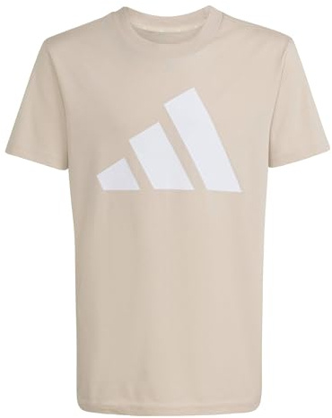 adidas Unisex Kinder Essentials Big Logo T-Shirt Set Jogginganzug