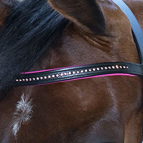 STAR Trensenzaum Diamond ENGL.Komb., Fuchsia, Pony