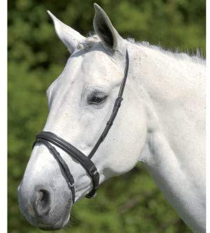 WEMBLEY WALDHAUSEN S-Line Schwed. Komb. Reithalfter Warmblut, schwarz