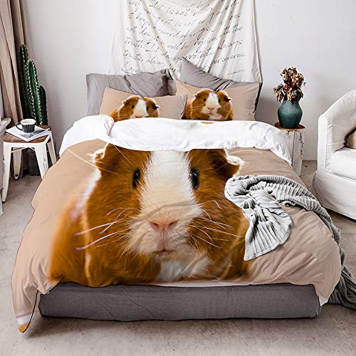 KIMDFACE Meerschweinchen,Mikrofaser Bettwäsche 135x200cm,Reißverschluss Bettbezug 2 Kissenbezug 50x80cm