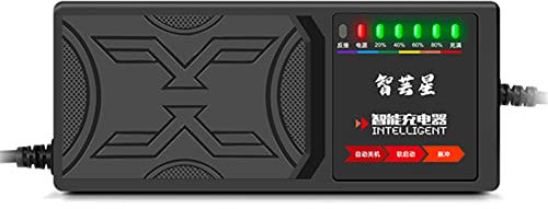 Kliplinc Chargeur 72 V 20 Ah pour véhicules électriques, 7 voyants lumineux, indicateur de puissance, protection contre les fuites de courant/impulsion complète, prise européenne