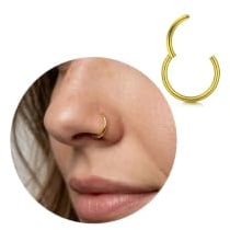 CIZME Titan G23 Nasenring Ring Hoop Segment Clicker Schmuckstück Damen | Nasenpiercing Klappsegment Segmentring Ringe Hypoallergen Ohr Septum Helix Tragus Conch Lippe Gold Silber Frauen