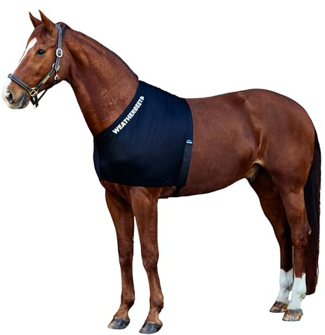 WeatherBeeta Stretch Shoulder Guard, Black, Full
