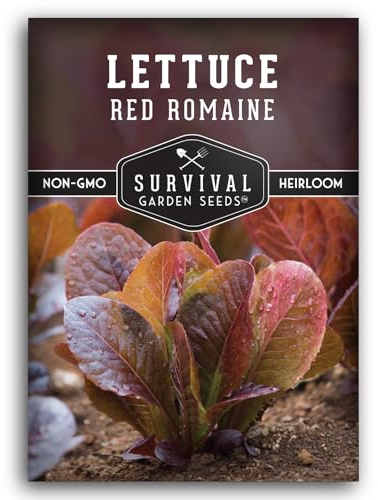 Red Romaine Lettuce Seeds for Planting - Crisp Red Leaf Romaine Lettuce Seed for Garden Growing, High Yield Heirloom Non-GMO Variety for Fresh Salads - Survival Garden Seeds (1 Pack)