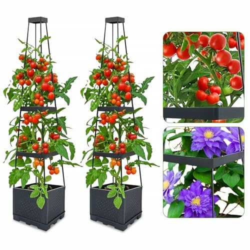 Self-Watering Tomato Planter Cage Adjustable Raised Garden Bed Support Box