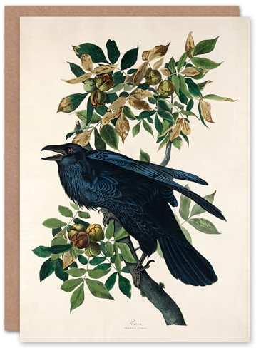 Artery8 John James Audubon Art Card Birds of America Raven