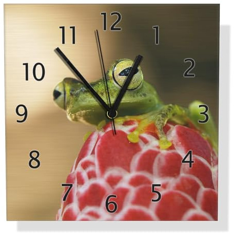 Wallario Design Wanduhr Frosch sitzt auf Einer Knospe aus Aluverbund, Alu-Uhr Größe 30 x 30 cm, Schwarze Zeiger mit Metalloptik