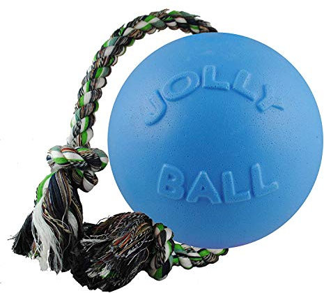 Jolly Pets JOLL049B Hundespielzeug - Ball Romp-n-Roll, 10 cm, hellblau