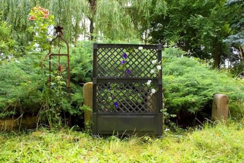 KHW Spalier (2-TLG.) 100 cm mit Erdspieß, anthrazit