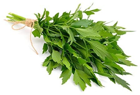 Herb Plants - Mixed Selection - Lovage + Borage + Garlic Chives - 3 x Full Plants in 9cm Pots - Indoor or Outdoor - Garden Ready + Ready to Plant - Premium Quality in Pots
