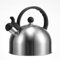 ACTIVE CUISINE Bouilloire Sifflante Induction 2,5L Inox Théières pour Cuisinière Tous Feu (Gris)