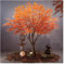 Simulierter Ahornbaum, Japanischer Gartenstil Künstlicher Roter Ahorn Natürlicher Holzstamm Und Realistische Blätter Landschaftsgestaltung Im Innen- Und Außenbereich (Farbe : Orange, Größe : 1.2x1.2