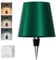 SOUDFK Wireless Bottle Lamp,2025 New 3 Color Rechargeable Wine Bottle Lights for Bars Restaurants (Dark Green, 1PC)
