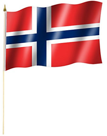 Stockflagge/Stockfahne NORWEGEN Flagge/Fahne ca. 30 x 45 cm mit ca. 60cm Stab/Stock