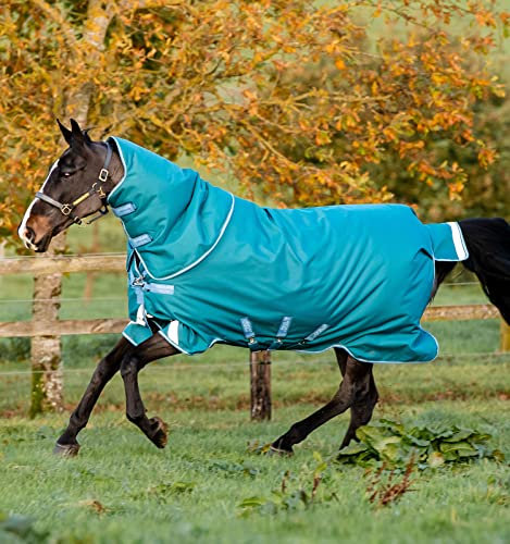 Horseware Decke Amigo Bravo 1200D Plus 400gr 6'0/130 cm - 6'0/130 cm - Grün