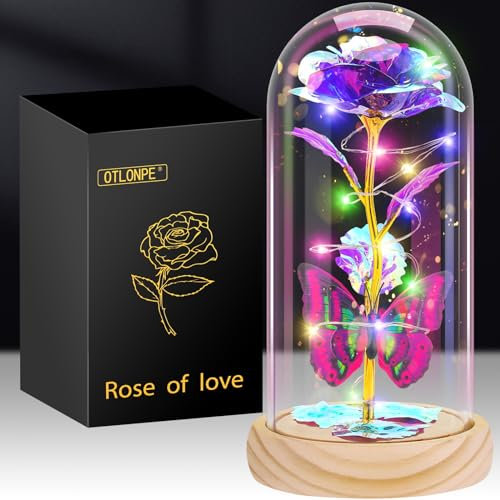 Otlonpe Blumen Muttertagsgeschenk für Mama Geschenke für Frauen, Geburtstagsgeschenk für Frauen Mama Freundin Oma, Ewige Rose im Glas Frau Geschenke für Muttertag Valentinstag Jahrestag