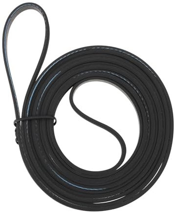 Be In Your Mind 1x Courroie d'entraînement de Tambour de Sèche-linge W10198086 Compatible avec Maytag Sèche-linge Whirlpool pour WPW10198086 1481904 AP4369191 AH2348726 EA2348726 PS2348726