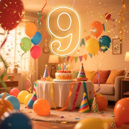 RUMONZS Light up Number 9 Neon Sign LED Acrylic Nine Neon Light by USB Powered with Chain Warm White Number 9 Light for Birthday Anniversary Party Decoration Light