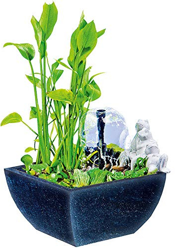 Heissner Wassergarten groß, rechteckig, schwarz, mit Froschfigur Weiss (Froschpaar)
