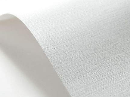 Netuno 100x cartoncino goffrato bianco tela formato A4 21 x 29,7 cm 246g carta strutturata goffrata per biglietti visita auguri partecipazioni inviti matrimonio compleanno carta textured