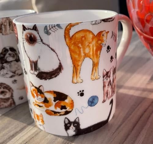 Dreamair 1 Pint Fine Bone China Cats Mug