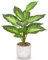 Arborus Artificial Plants Indoor in Ceramic Pot 37CM Large Faux Dieffenbachia Potted Plants Fake Desk Plant Artificial Greenery in Rustic Pot for Living Room Office Kitchen Bathroom Home Decoration