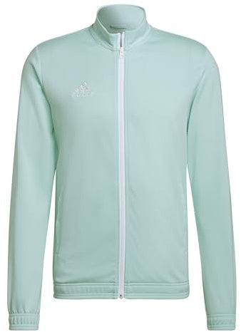 adidas Uomo Entrada 22 Track Jacket, clear mint, XL