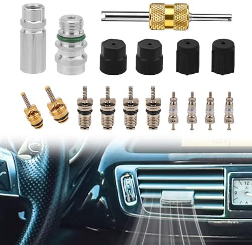 Gosknor 17uds Kit Núcleo Válvula de Aire Acondicionado para R12 o R134A, Sello Teflón Válvula de Servicio Refrigeración A/C Sistema AC HVAC y Coche Juego Tapas Sello Puerto Carga