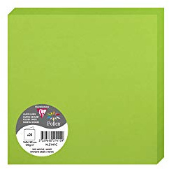 Clairefontaine 2141C Packung (mit 25 Doppelkarten Pollen, Gefaltet, 160 x 160mm) 210g, Minze