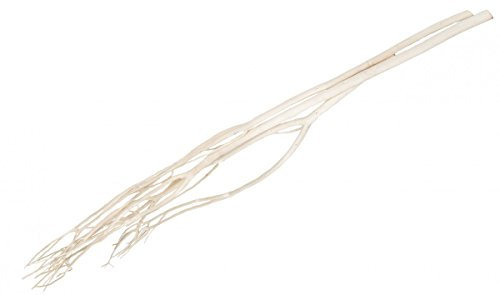 NaDeco Mitsumata-Zweige, Gebleicht, Länge ca. 120cm, im Bund mit 3 Stück Dekozweige Dekoäste Dekobündel