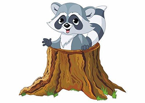 Wandtattooladen Wandsticker - Waschbär Rocky, Größe: 40x37cm