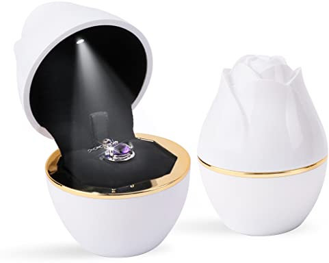 iSuperb LED Anhänger Boxen Schmuckkästen Halskette Armband Aufbewahrungshalter Ringbox mit Lichtern Schmuck Geschenkboxen Necklace Boxes für Frauen (Weiß)